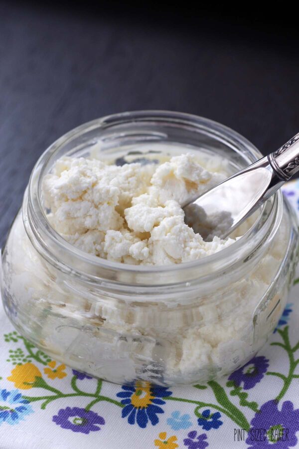 Ricotta cheese in a jar so you can see the lumpy, bumpy cheese curds.