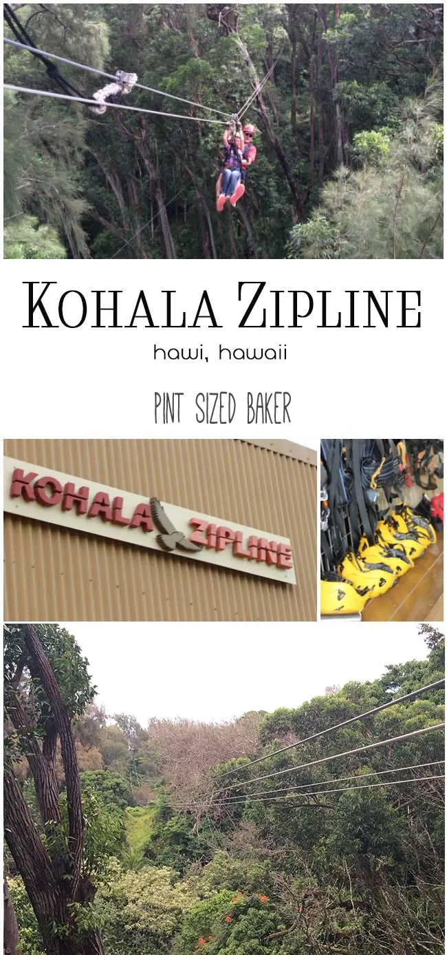 Kohala Zipline Collage copy